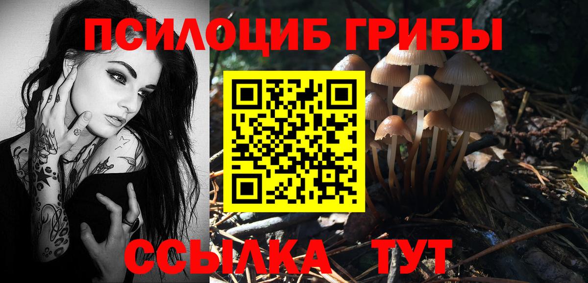 Псилоцибиновые грибы Cubensis  Вход с VPN  Коряжма 